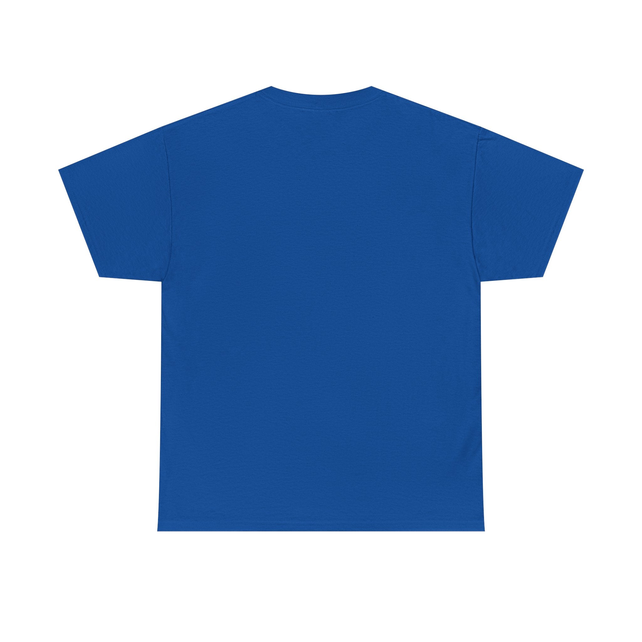 Take The Ride bicycle sunset design Tee | cycling shirt, adventure graphic