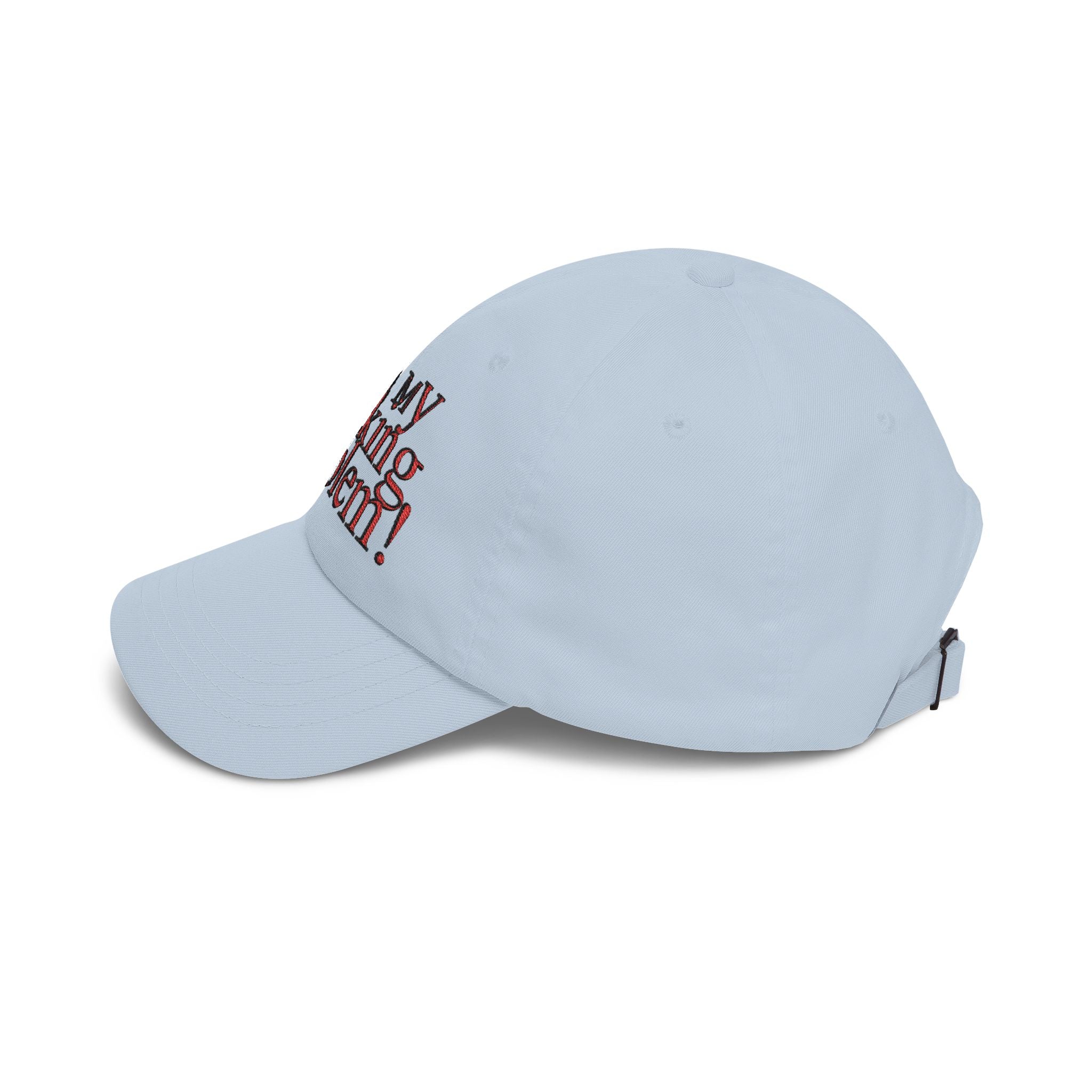 Not My Fucking Problem Dad Cap | Embroidered Statement Hat