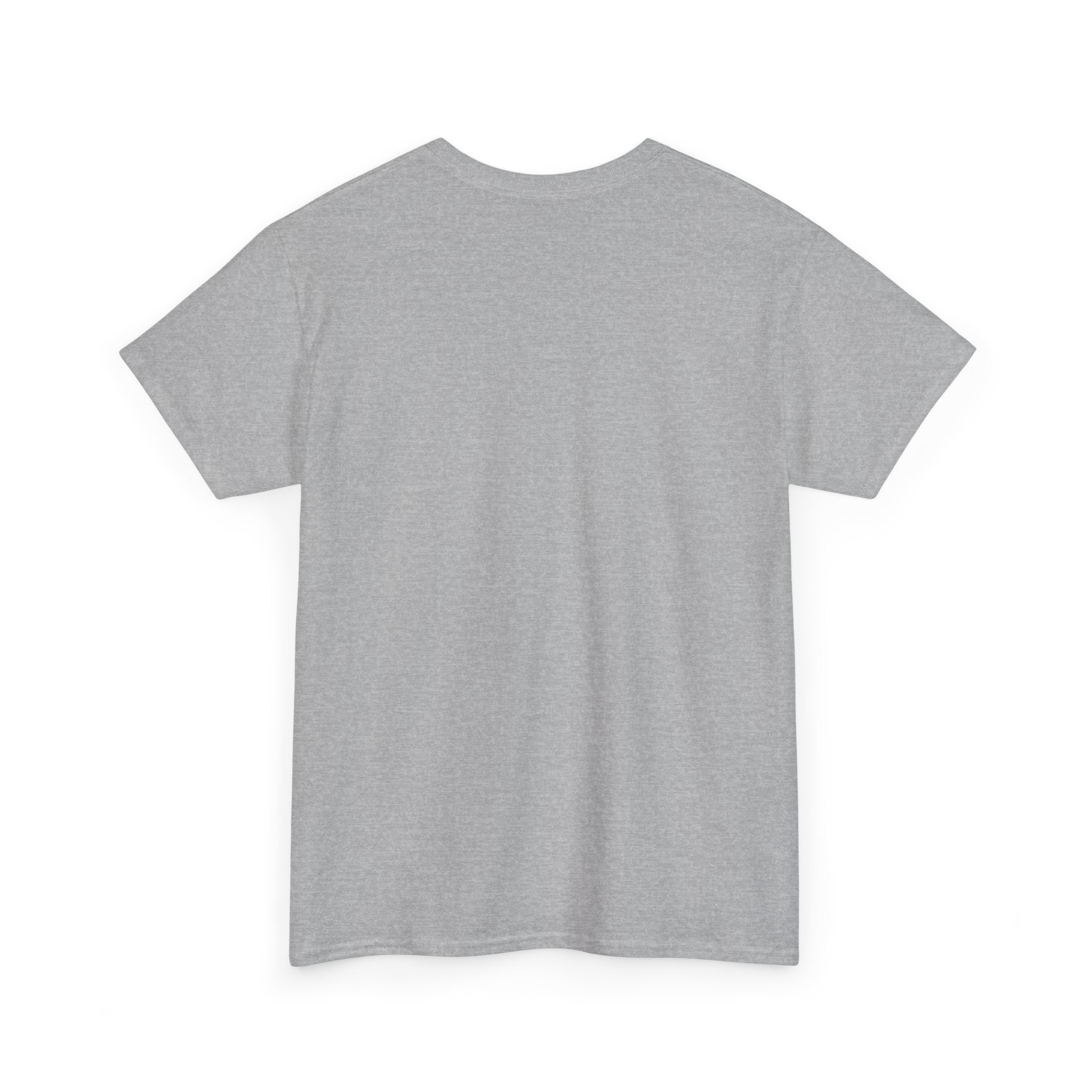 Take The Ride bicycle sunset design Tee | cycling shirt, adventure graphic