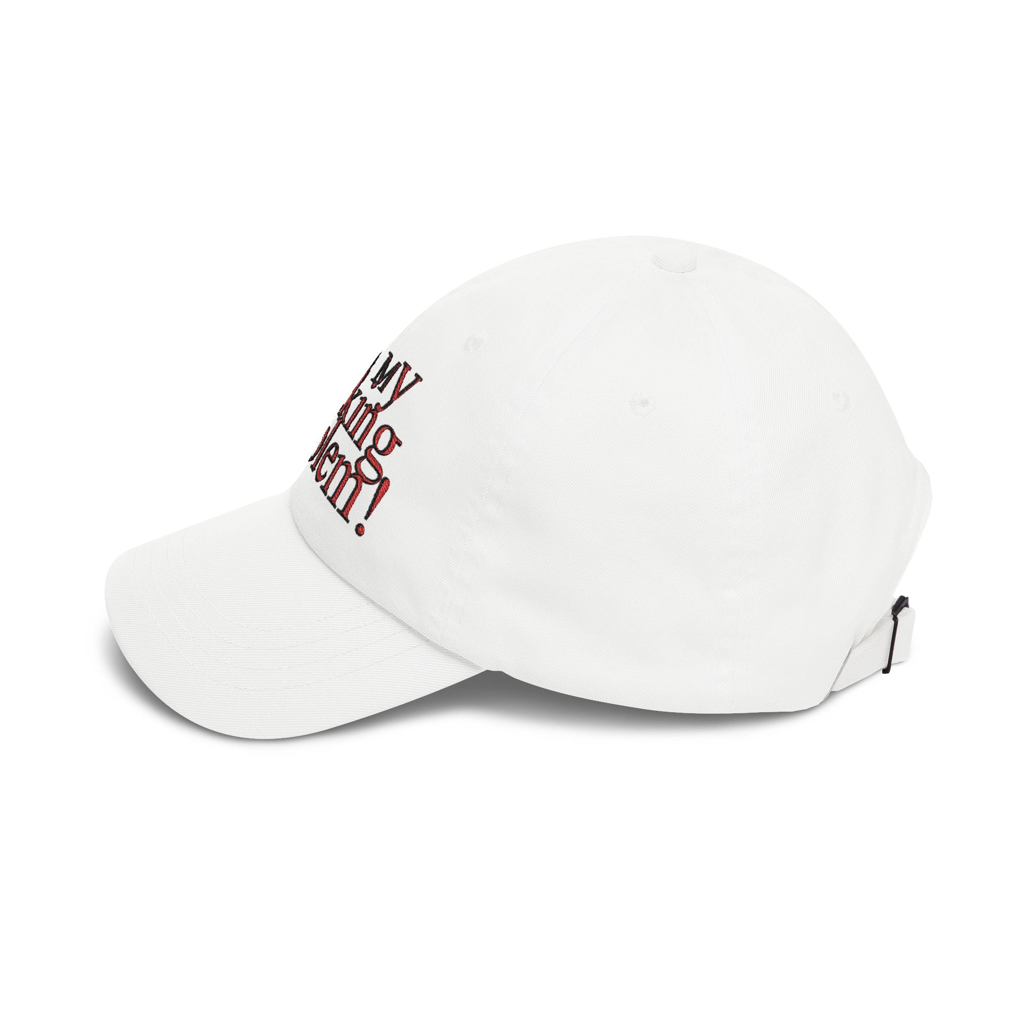 Not My Fucking Problem Dad Cap | Embroidered Statement Hat