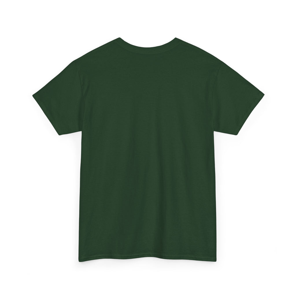 Take The Ride bicycle sunset design Tee | cycling shirt, adventure graphic