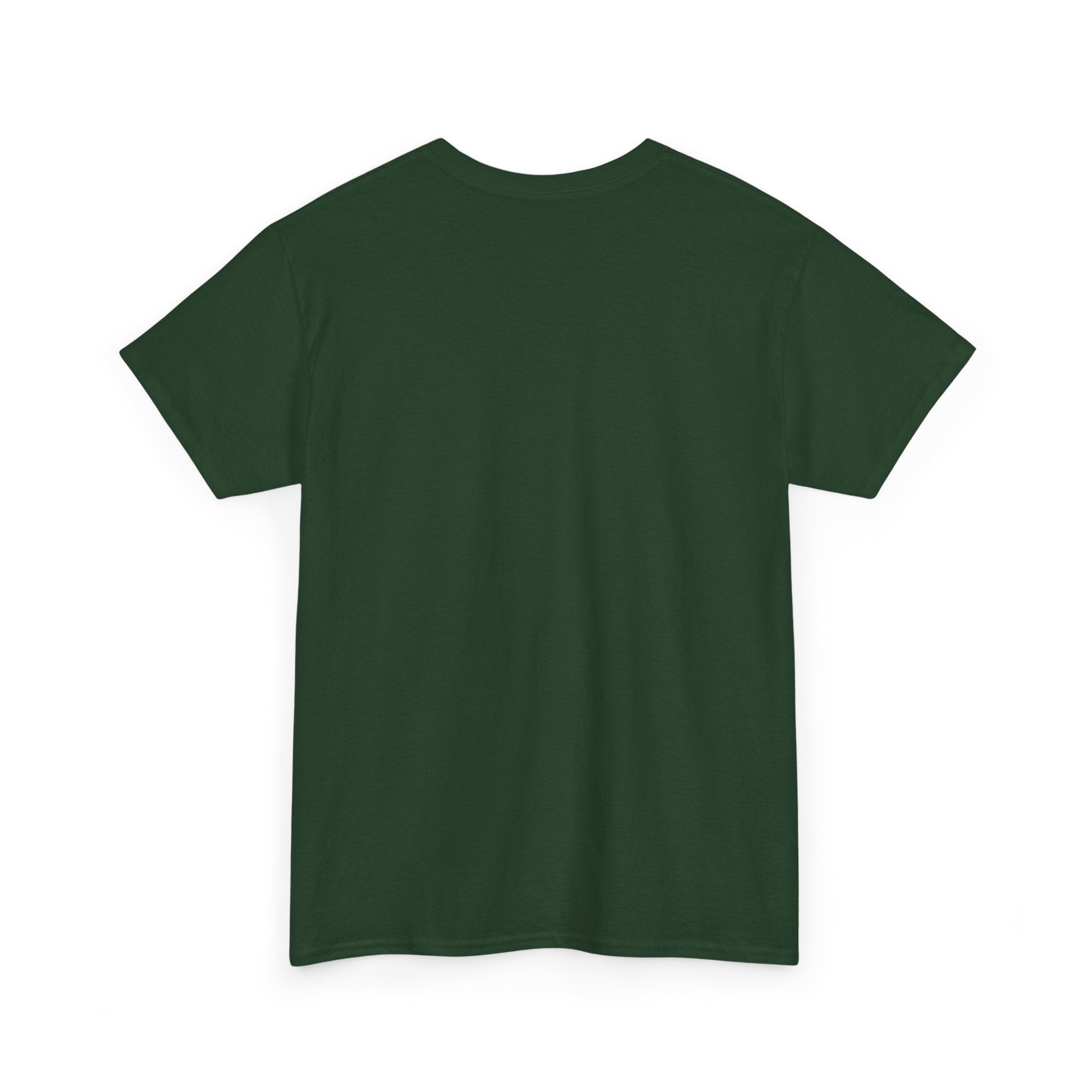 Take The Ride bicycle sunset design Tee | cycling shirt, adventure graphic