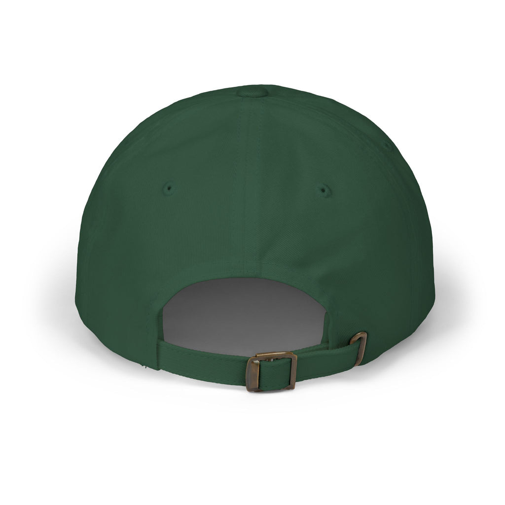 Not My Fucking Problem Dad Cap | Embroidered Statement Hat