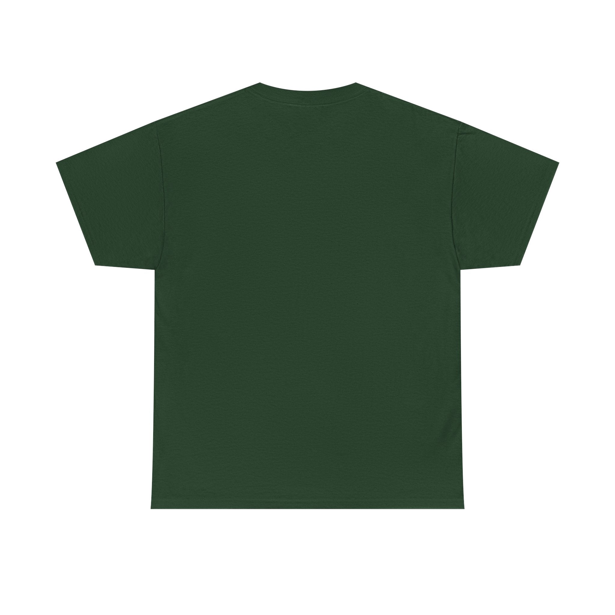 Take The Ride bicycle sunset design Tee | cycling shirt, adventure graphic