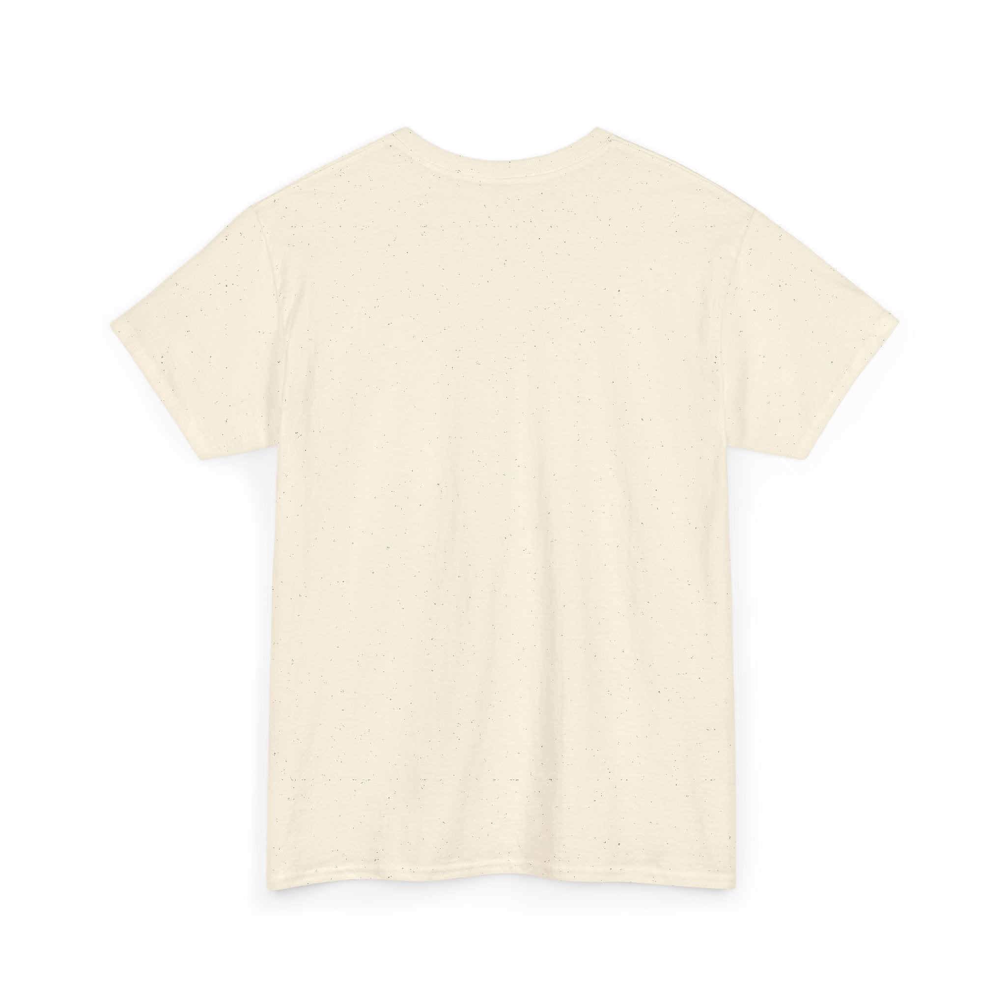 Take The Ride bicycle sunset design Tee | cycling shirt, adventure graphic
