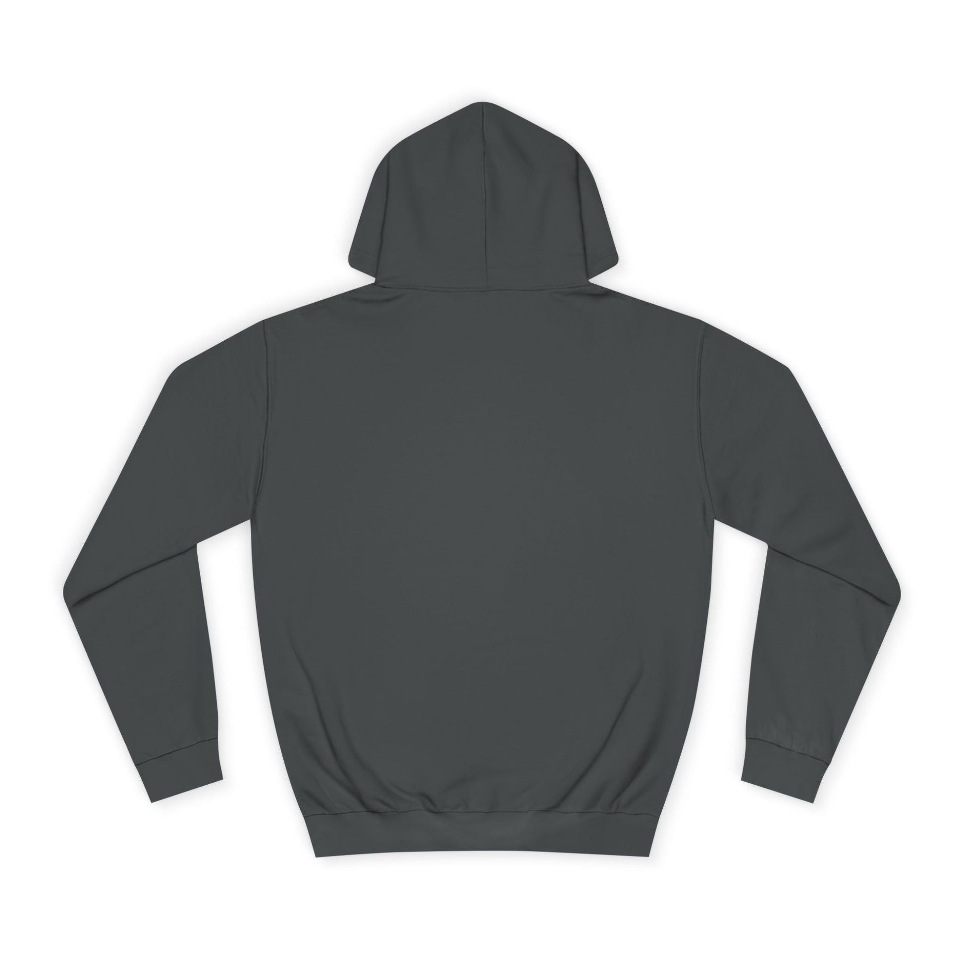 Edgar Allan Poe's The Raven Hoodie - Hoodie - Printify