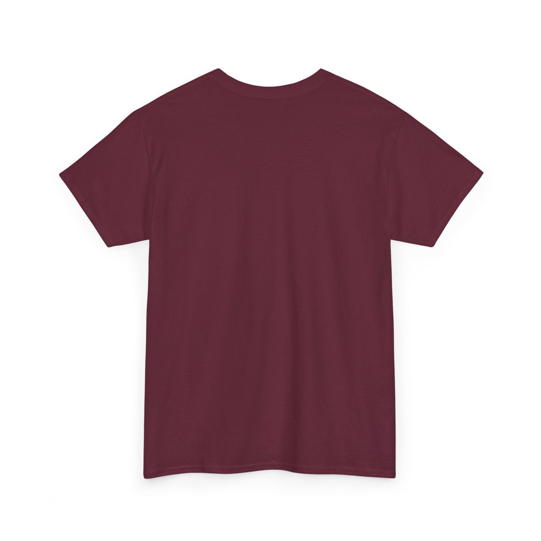 Take The Ride bicycle sunset design Tee | cycling shirt, adventure graphic - Erudition Designs