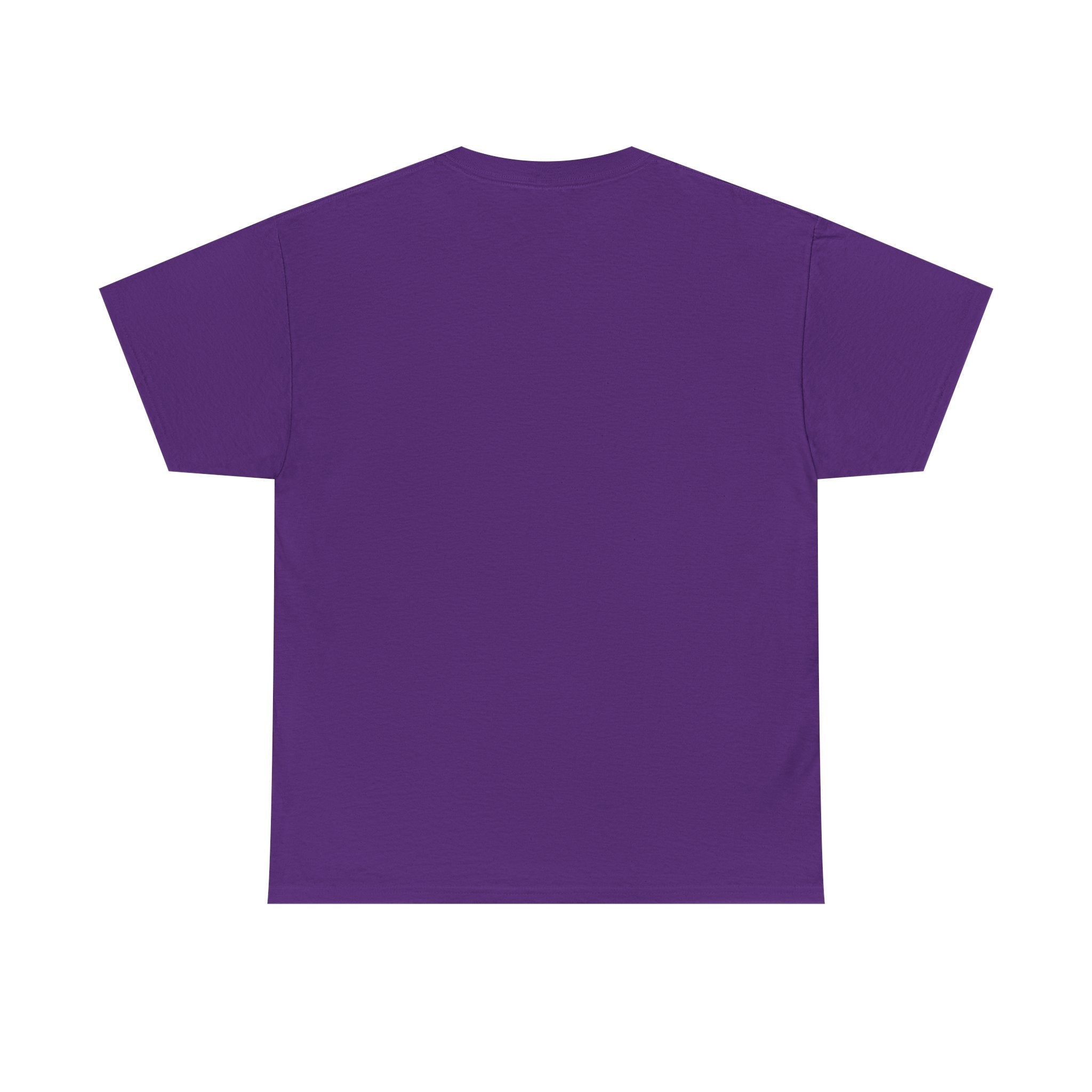 Take The Ride bicycle sunset design Tee | cycling shirt, adventure graphic - Erudition Designs