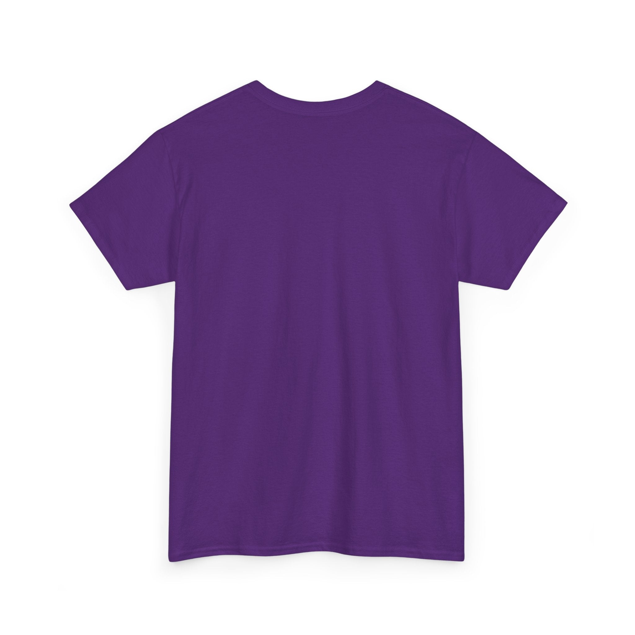 Take The Ride bicycle sunset design Tee | cycling shirt, adventure graphic - Erudition Designs
