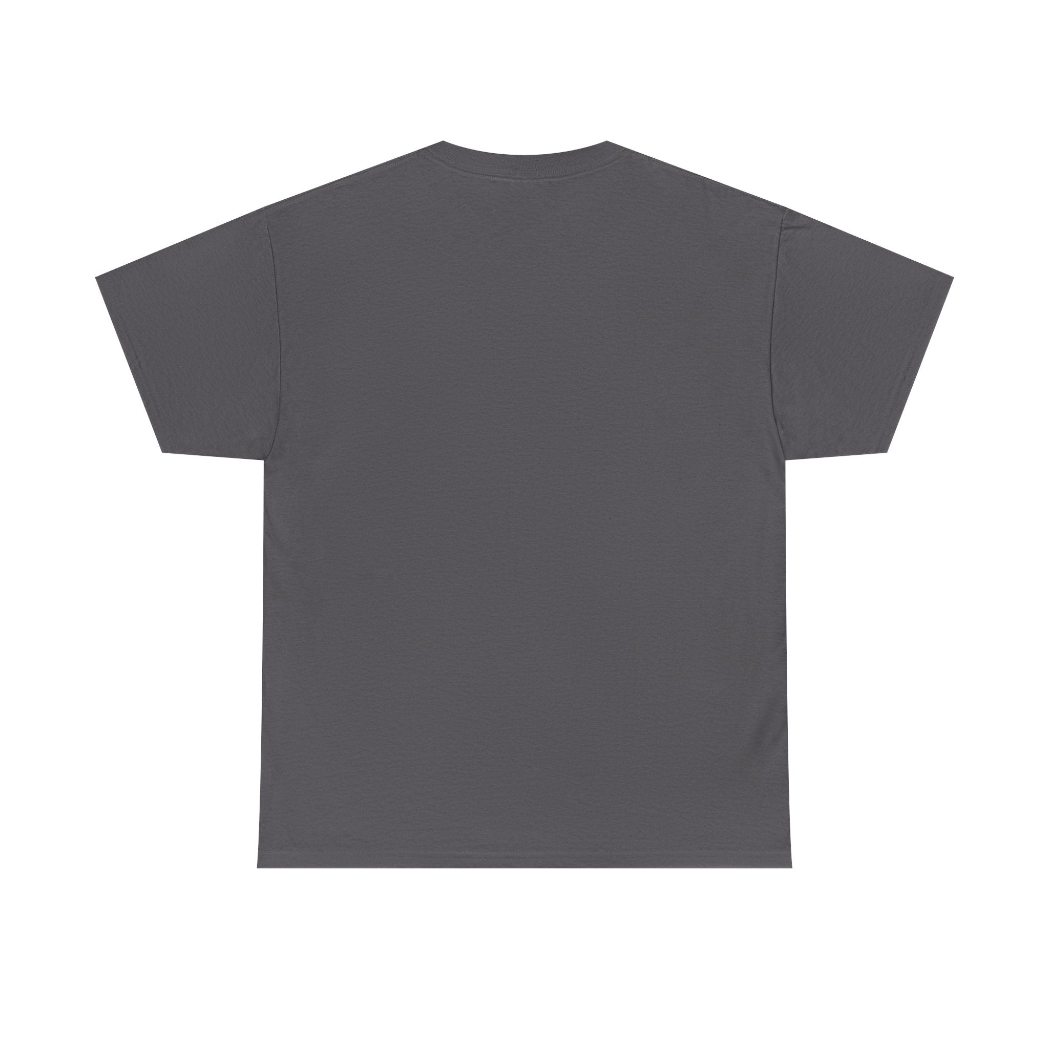 Take The Ride bicycle sunset design Tee | cycling shirt, adventure graphic - Erudition Designs
